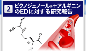 ピクノジェノールとアルギニンのEDに対する研究報告